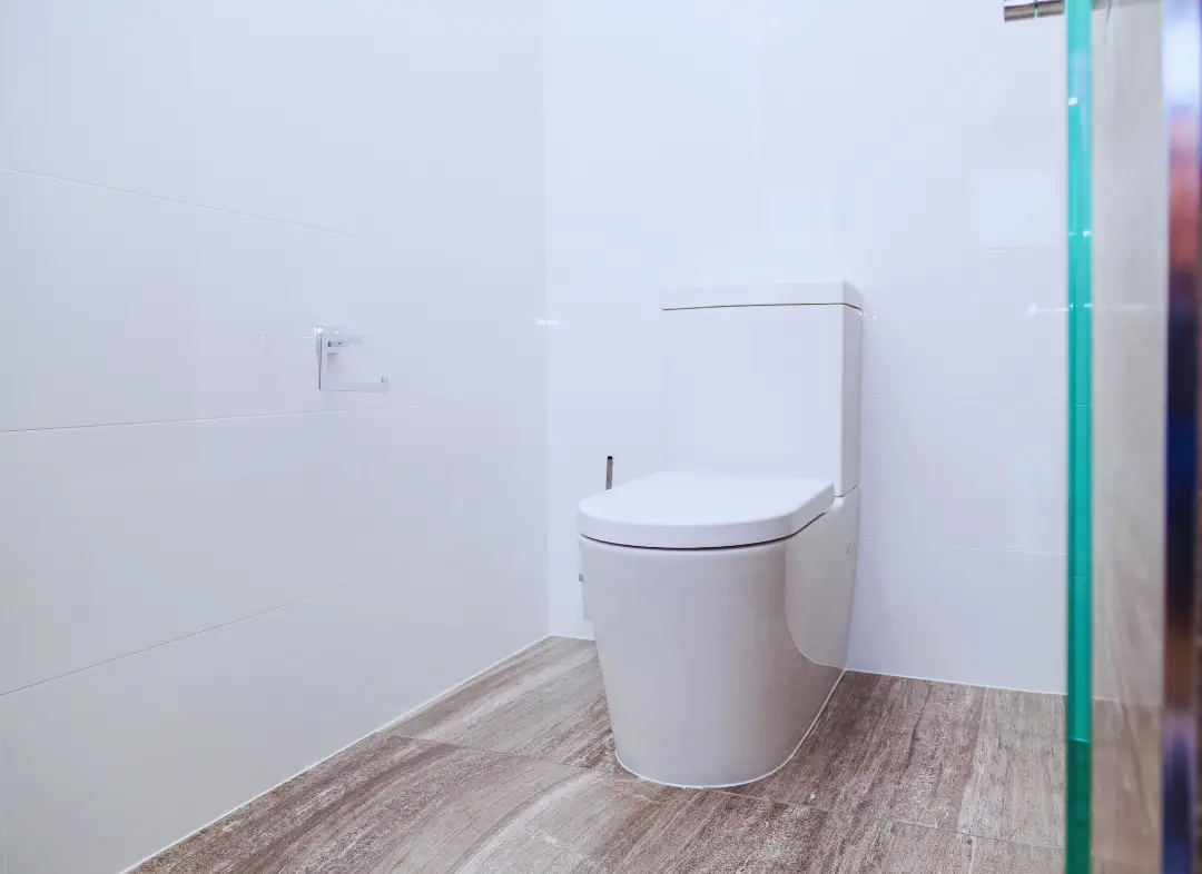 Remplacement de wc Carignan-de-Bordeaux